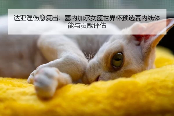 达亚涅伤愈复出：塞内加尔女篮世界杯预选赛内线体能与贡献评估