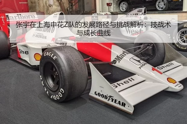 张宇在上海申花Z队的发展路径与挑战解析：技战术与成长曲线
