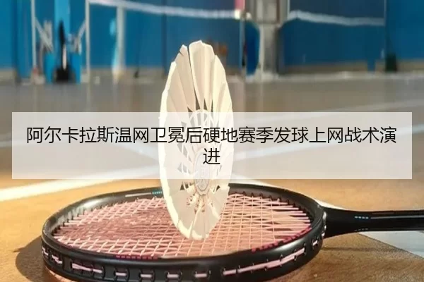 a-er-ka-la-si-wen-wang-wei-mian-hou-ying-di-sai-ji-fa-qiu-shang-wang-zhan-shu-yan-jin-3-421.jpg